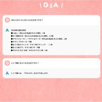 ペットキッス にぼし 国産 12g 2袋 キャットフード おやつ オーラルケア