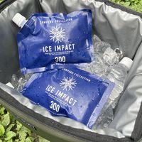 【保冷剤】 山善（YAMAZEN） ICE IMPACT 300 CIIS-300 1個