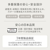 オウルテック PD20W 持ち歩きたくなる可愛いニュアンスカラーのAC充電器 ピスタチオ OWL-APD20A1C1R-PS 1個