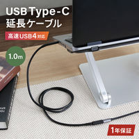 OWLTECH Type-Cケーブルを手軽に延長できるタイプC タイプC延長ケーブル 1m OWL-CBCMCF10-BK 1個