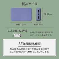 オウルテック 10000mAhで196g Type-C入出力 モバイルバッテリー ワインレッド OWL-LPB10012-RWR 1個