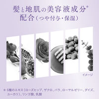 Segreta（セグレタ） トリートメント 180g 5個　花王