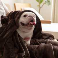 AQUA mofua　プレミアムマイクロファイバー　毛布　シングル　ブラック 50000110 1枚（直送品）