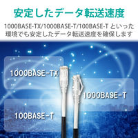 LANケーブル CAT6A 80m 屋外用 PoE++ 対応 高速 ブラック LD-GPAOS/BK80 エレコム 1個（直送品）