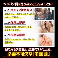 ALPRON WPC ストロベリー風味 900g 1個