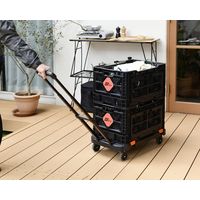 BIGANT フォールディングストロングコンテナ&キャリーセット YBA-C100 1台（直送品）