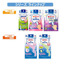 エブリデント 犬猫用 歯みがきウォーター 国産 350ml 2個 犬用 猫用 アース・ペット