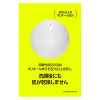 beplain（ビープレーン） グリーンフル弱酸性クレンジングフォーム 80g 韓国コスメ 洗顔料 洗顔フォーム