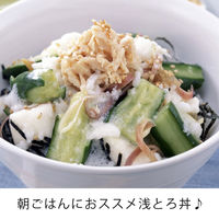 エバラ　浅漬けの素　昆布だし　500ml　5本