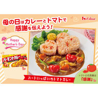 ハウス食品　バーモントカレー　甘口　230g　5個
