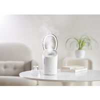 アイリスオーヤマ フェイススチーマー FST-101-W クレンジング 美容家電 保湿 ミラー付き 1台