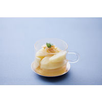 アイリスオーヤマ 袋型低温調理器 PLTC-M01-B 1台