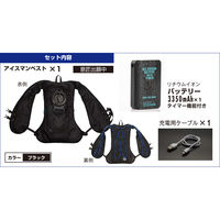 アイスマン2ベストSET ICM2-BLV-SET 1セット 山真製鋸（直送品）