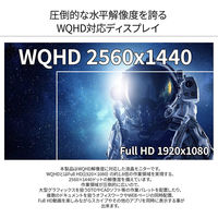 ジャパンネクスト 23.8インチ ワイド ディスプレイ JN-IPS2380FLWQHD-HSP 1個（直送品）