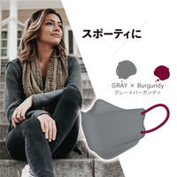 STYLEマスク バイカラー グレー×バーガンディ　シンズ 個包装 カラーマスク　使い捨て　不織布　3D　ダイヤモンド型　立体　1袋（5枚入）