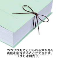 コクヨ アスクル 共同企画 背幅伸縮ファイル 紙製A3ヨコ ブルー 10冊 オリジナル