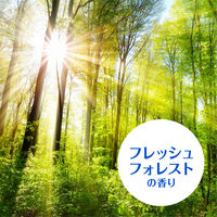 カビ防止 予防 簡単 らくハピ エアコンの防カビ 貼るタイプ フレッシュフォレストの香り 1セット（3個） 掃除 アース製薬