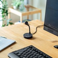 サンワサプライ PCスタンドマイク MM-MC32N 1個