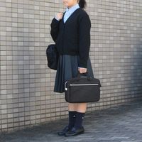 サンワサプライ 取っ手付きPCインナーバッグ(11.6インチワイド・ブラック) BAG-SCL11BKN 1個