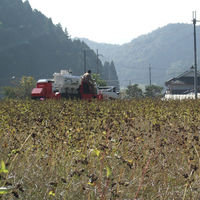御歳暮 年末の贈り物 景品 夜久野かすみ そば三昧セット (乾麺・霧ノ蕎麦茶・玄そばご飯の素) ギフトカード 二重封筒 熨斗 １式（直送品）