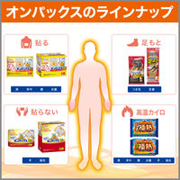 はるオンパックス 衣類に貼るカイロ 使い捨てカイロ 1袋（10個入） エステー