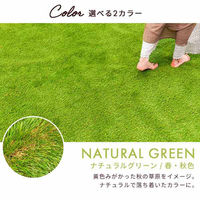 三栄コーポレーション 人工芝ロール 人工芝マット 1m×10m　芝丈35mm フレッシュグリーン/夏色（直送品）