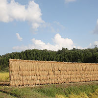 AoyamaLab オンラインギフト URLですぐ納品 贈り物や景品に 「米屋五郎兵衛 特撰」 十日町産魚沼コシヒカリ白米 2kg メール1通（直送品）