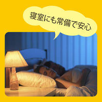 山善 YAMAZEN 防災スリッパ 安全靴基準クリア かかとゴム付き ストロングスリッパ グレー L YZ-SS-L 1足