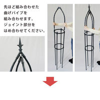 第一ビニール 組立かんたんローズオベリスク170cm 4968438020396 1個