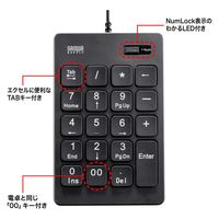 サンワサプライ 抗菌テンキー NT-25UBK 1個（直送品）
