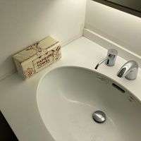 ペーパータオル キッチンペーパー 開け口が横にあるペーパータオル ヤギ柄3つ折り 1ケース(20個)