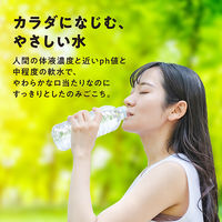 アイリスフーズ株式会社 富士山の天然水 ラベルレス 500ml 1セット（48本）