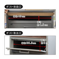 住まいスタイル ジョイ 宅配ボックス付ポスト 幅450×奥行415×高さ850mm グレー PST-010GRY 1台（直送品）