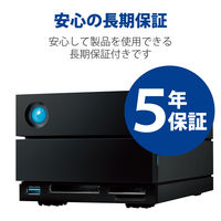 HDD 外付け 40TB 据え置き 5年保証 2big Dock RAID対応 STLG40000400 Lacie 1個（直送品）