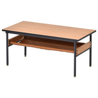 B.Bファニシング Francis センターテーブル 幅900×奥行450×高さ400mm FRCT0091MEBRN 1台（直送品）