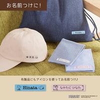 カシオ CASIO ネームランド NAMELAND i-ma スヌーピー KL-SP10-PN 1台