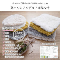 トシシミズ ナチュラルポスチュアー 低反発高反発2層シャギー チェアパッド CM-205 35×35cm アイボリー 1枚（直送品）