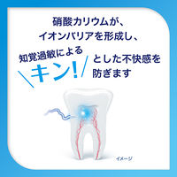 歯磨き粉 フッ素 シュミテクト コンプリートワンEX プレミアム ナチュラルミント 90g 1セット（4本）薬用高濃度フッ素配合