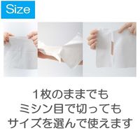 アィティーオー ITO スキンコットンタオル 1パック（240枚：80枚入×3パック）