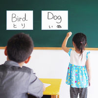 マグエックス アプライホワイトボード 方眼入 300×420mm MAWB-3042B-Y 1枚