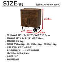 エイ・アイ・エス ロバスト キャビネット 幅600×奥行450×高さ753mm ブラウン ROB-7560CB BR 1台（直送品）