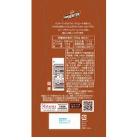 片岡物産 バンホーテン キャラメルシロップ 1個（630g）