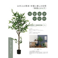 不二貿易 フェイクグリーン フィカス 160cm ジョイント 41123 1個