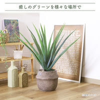 不二貿易 フェイクグリーン アロエ M セメントポット 41136 1個