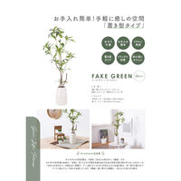 不二貿易 フェイクグリーン ギンモクセイ セラミックポット 41133 1個