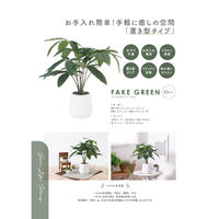 不二貿易 フェイクグリーン パキラ セラミックポット 41128 1個