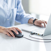 有線マウス　5ボタン　中型サイズ　ブルーLED　MA-BL114GM　サンワサプライ　1個