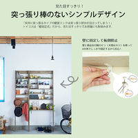 白井産業 トイコス 壁掛けディスプレイラック（壁固定式） ラダータイプ 白木目 幅444×奥行182×高さ1917mm（直送品）