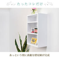 スタープラチナ 壁美人シェルティシリーズ 縦横兼用シェルフ ホワイト SLTKBRT100WH 1個