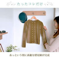 スタープラチナ 壁美人シェルティシリーズ ウォールハンガー ブラウン SLTKBWH100BR 1個